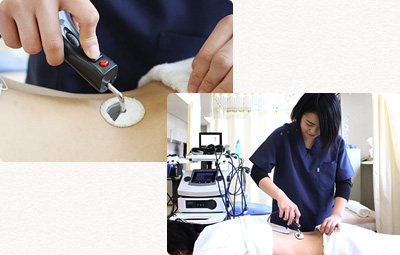 福島県 郡山市 接骨院